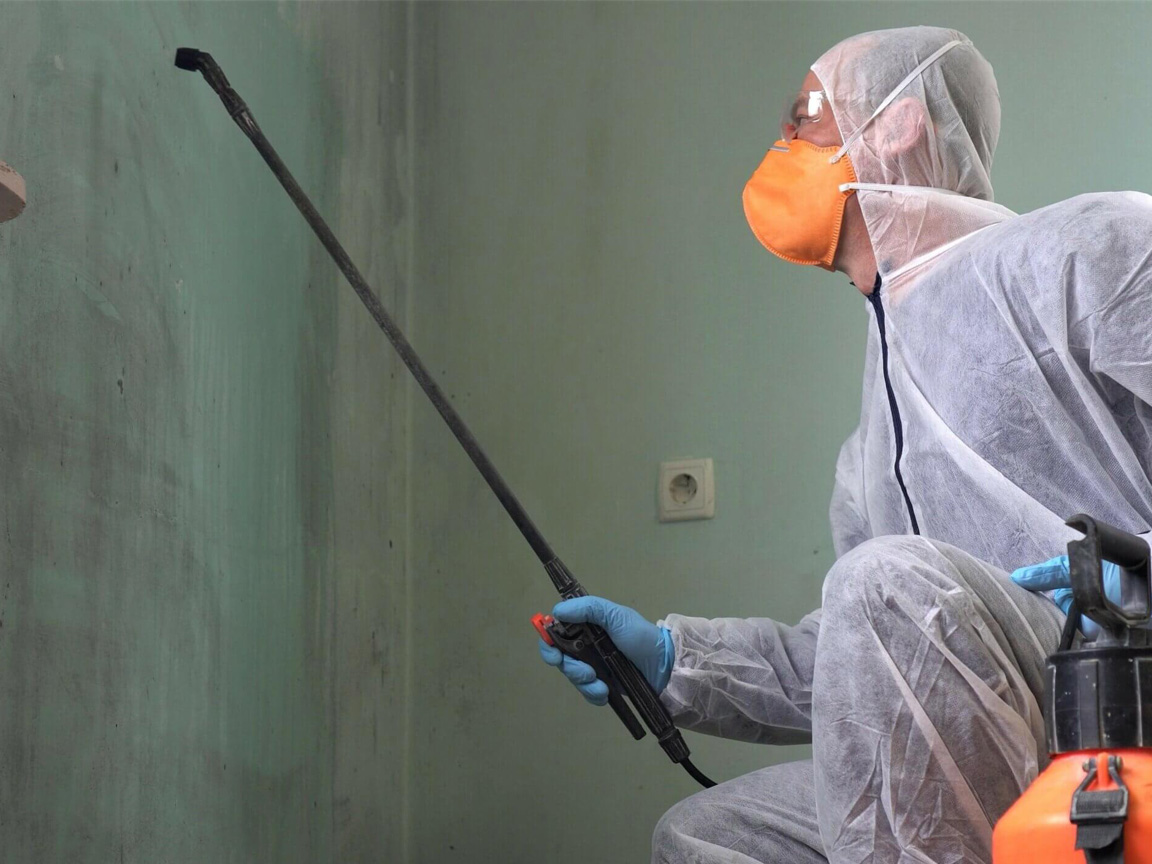 asbestos mitigation