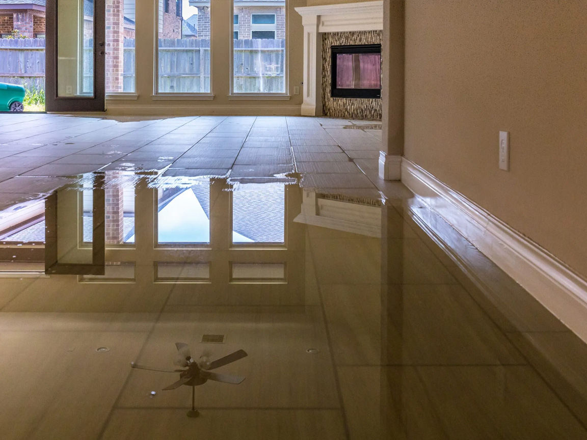 water mitigation